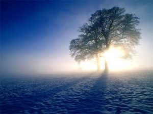 frases de esperanza de dios